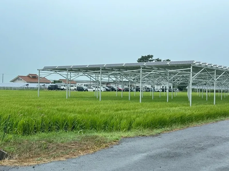 Crop field Agri-PV mounting structure designed for crop rows, shade control and farm operation access