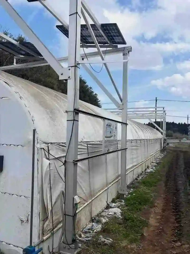 PV integrated with a greenhouse structure
