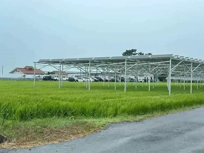 Elevated agrivoltaic mounting above crop rows