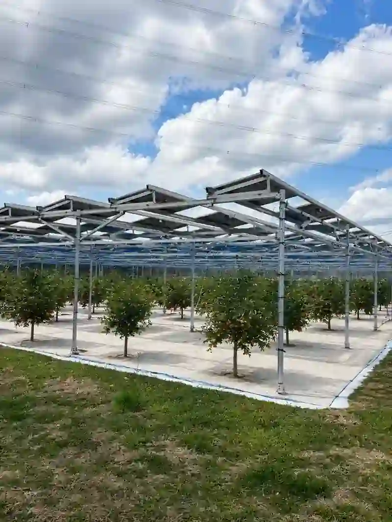 Agrivoltaic structure above orchard rows